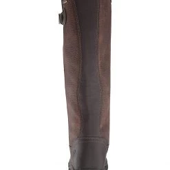 Ariat Boots Belford GTX -Ariat Shop 616Q0qb2yKL. AC SR736920