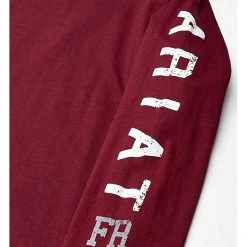 Ariat Shirts & Tops Big & Tall FR Roughneck Skull Logo T-Shirt -Ariat Shop 719tTHhQRTL. AC SR736920