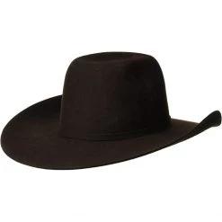 Ariat Hats Punchy Wool Hat (Little Kids/Big Kids) -Ariat Shop 71HWli8EfWL. AC SR736920
